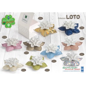 Collezione LOTO